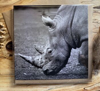 Protégez-moi - Rhino dans la nature Carte de vœux 1