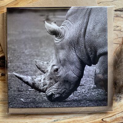 Proteggimi - Biglietto d'auguri Rhino in the wild