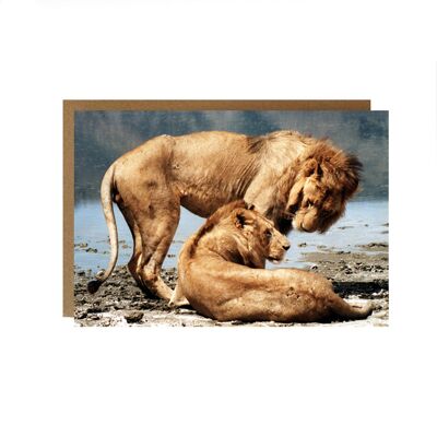 Lions of Ngorongoro craterGreeting Card