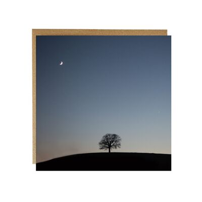 Alone on a Hill Greeting Card