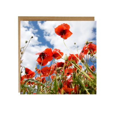 Crazy Happy Poppy Flowers Greeting Card