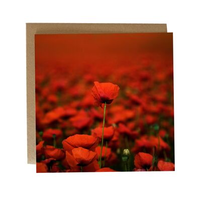 Stand proud Poppy greeting card