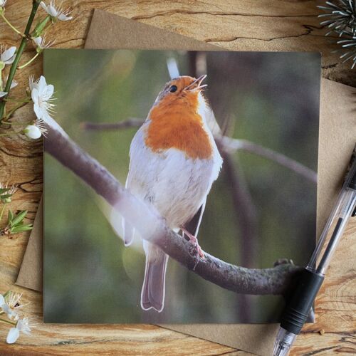 Robin's song Greeting Card