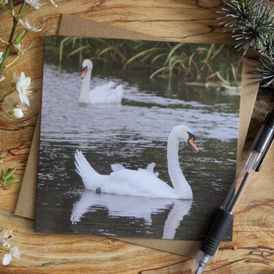 I Belong to the Queen - swans Greeting Card