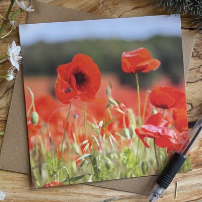 Bright and cheerful poppies greeting card