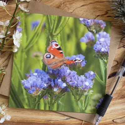 Pfau Schmetterling und Blumen Karte