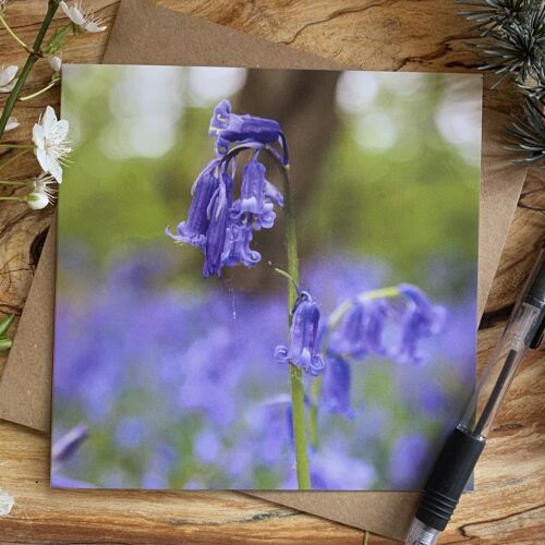Beautiful Bluebells Greeting Card