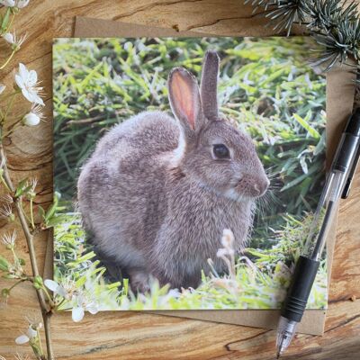 Tarjeta de felicitación Skomer Rabbit
