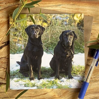Are we going now - two black labs Greeting card