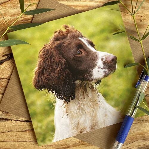 Did you call, spaniel portrait greeting card