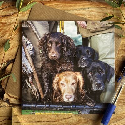 All Squashed In - dog greeting card