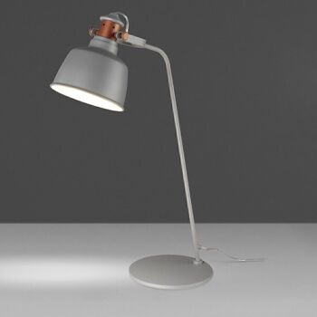 Lampe à poser avec abat-jour multidirectionnel en acier inoxydable peint époxy gris et détails couleur bronze, modèle 8033 6