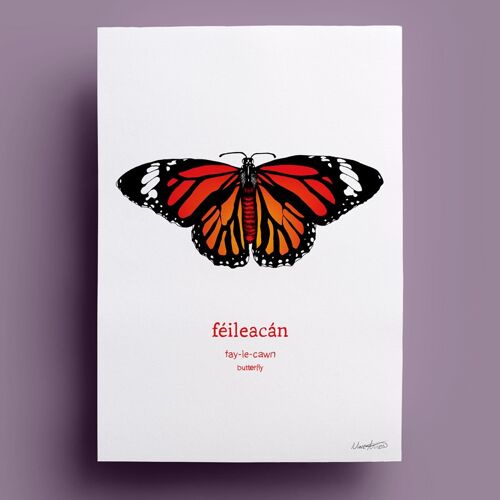 Féileacán | Butterfly