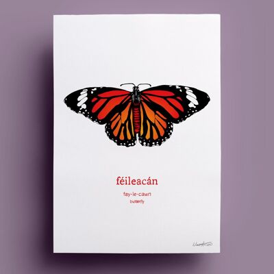 Feileacán | Schmetterling