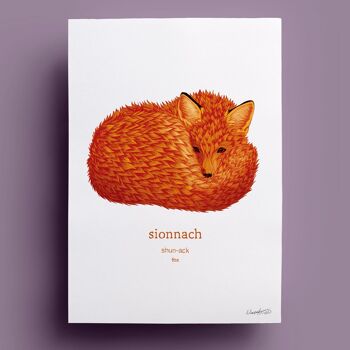 Sionnach | Renard 1