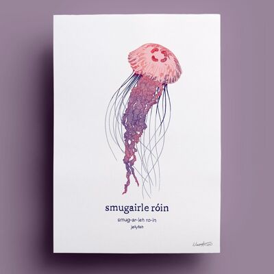 Smugairle Róin | Jellyfish