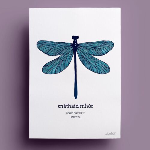 Snáthaid Mhór | Dragonfly