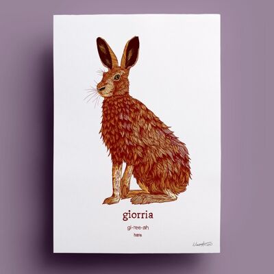 Gioria | lepre