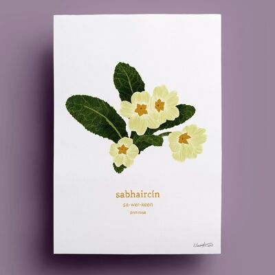 Sabhaircín | Primrose - Irish Print