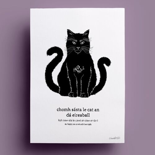 Chomh Sásta le Cat an Dá Eireaball | As Happy as a Cat With Two Tails