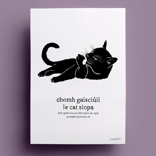 Chomh Gaisciúil le Cat Siopa | As Boastful as a Shop Cat