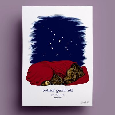 Codladh Geimhridh | Ours d'hiver