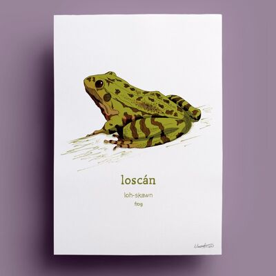 Loscan | Frosch