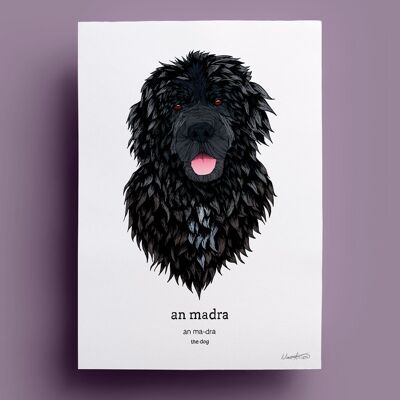 Una Madrá | El perro