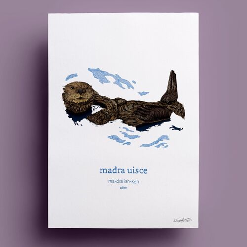 Madra Uisce | Otter
