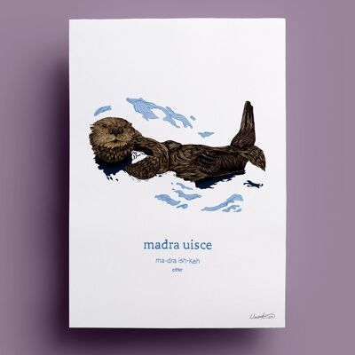 Madra Uisce | Loutre