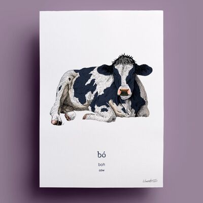 Bo | Vaca