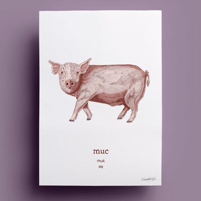 muc | Cerdo