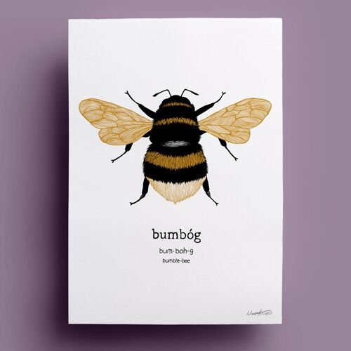Bumbóg | Bumblebee