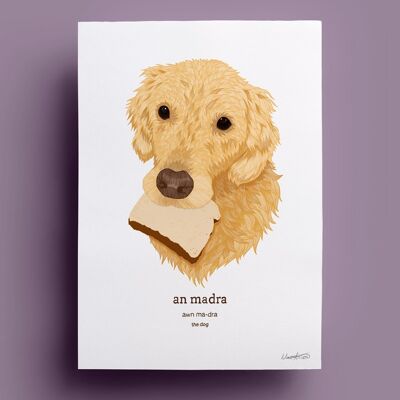 Ein Madra | Der Hund - Labrador