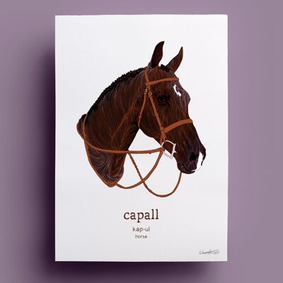 Capall | Caballo