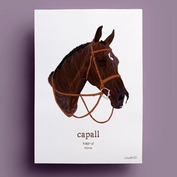 Capall | Cheval 1