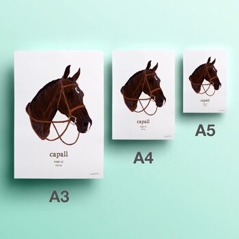 Capall | Cheval 2