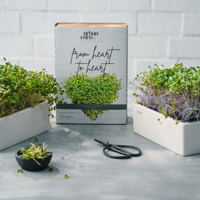 Microgreens Home Growing Kit