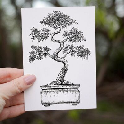 Bonsai-Baum-Themen-Gruß-Karte | A6 | Soft-Touch-Gefühl