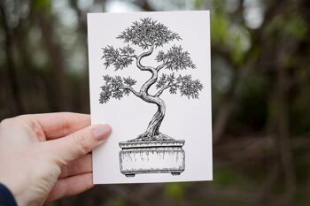 Carte de voeux sur le thème des bonsaïs | A6 | Toucher doux