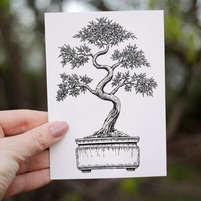 Bonsai Tree Themed Greetings Card | A6 | Soft-Touch Feel