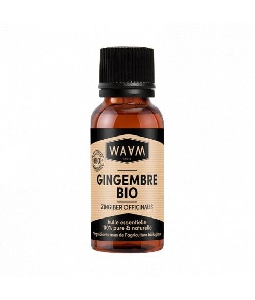 WAAM cosmetics – Huile essentielle de Gingembre BIO