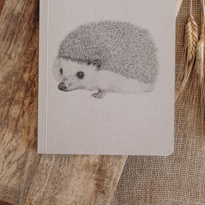 Ideas notebook (hedgehog)