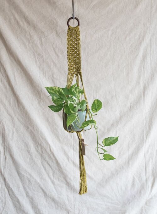 Macetero Green Belt Plant Hanger