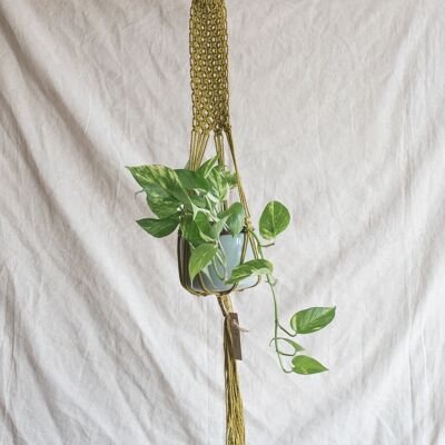 Green Belt Plant Hanger