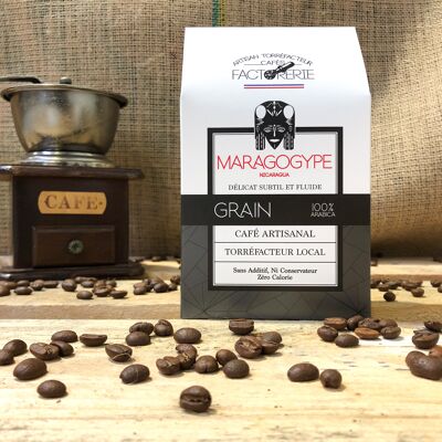 NICARAGUA MARAGOGYPE COFFEE GRAIN - 250g