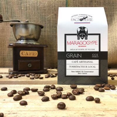 NICARAGUA MARAGOGYPE COFFEE GRAIN - 250g