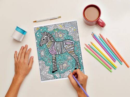 Zebra Colour in yourself Greetings Card Activity Card