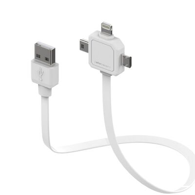 Allocacoc 3in1 USB Cable - Micro USB / Mini USB / Apple Lightning  (9002/UC80CN)