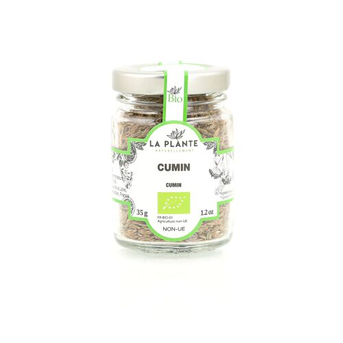 Cumin Biologique 35 g*